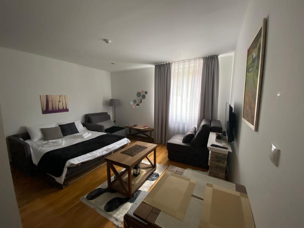 Mountain Story Apartment Brzece Bagian luar foto